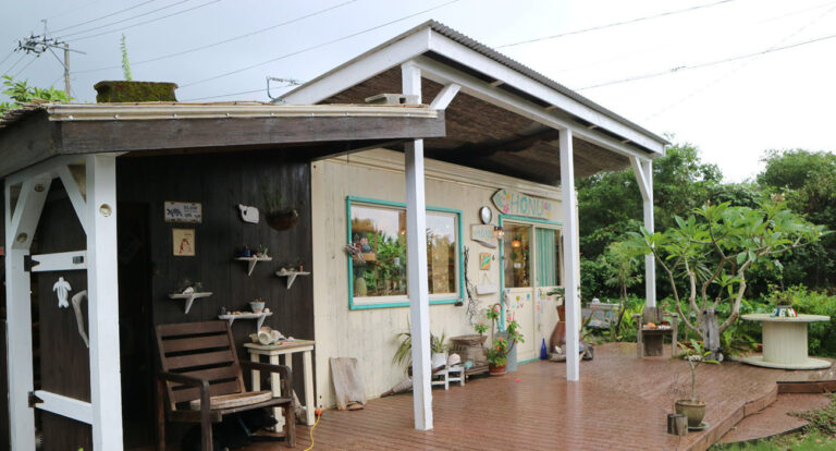 Honu Yakushima