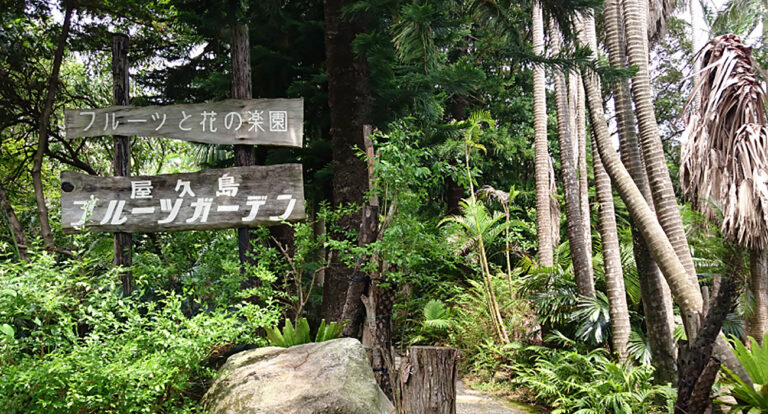 Yakushima Fruit Garden